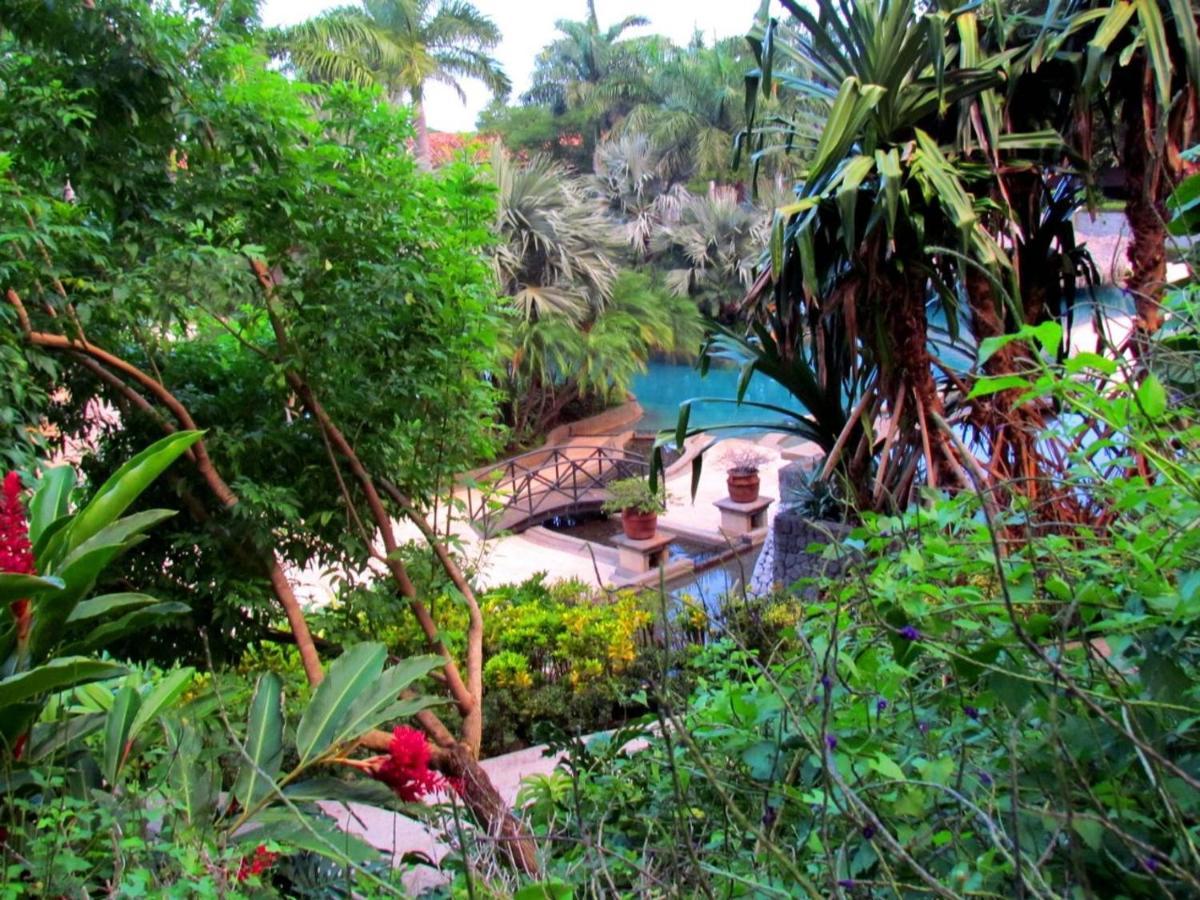 Tamarindo Condo 206 Matapalo المظهر الخارجي الصورة
