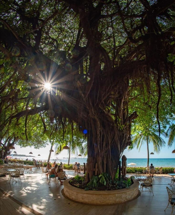 Tamarindo Condo 206 Matapalo المظهر الخارجي الصورة